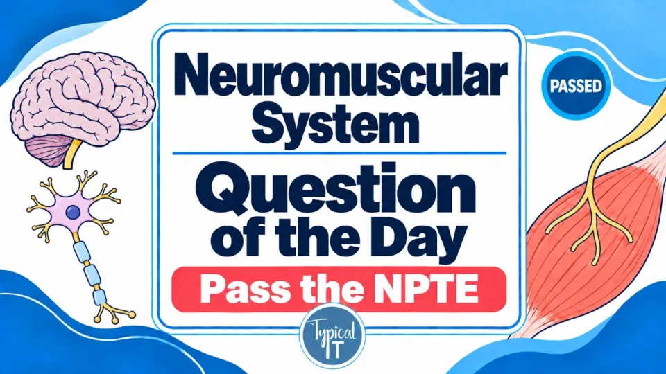 npte neuro practice questions